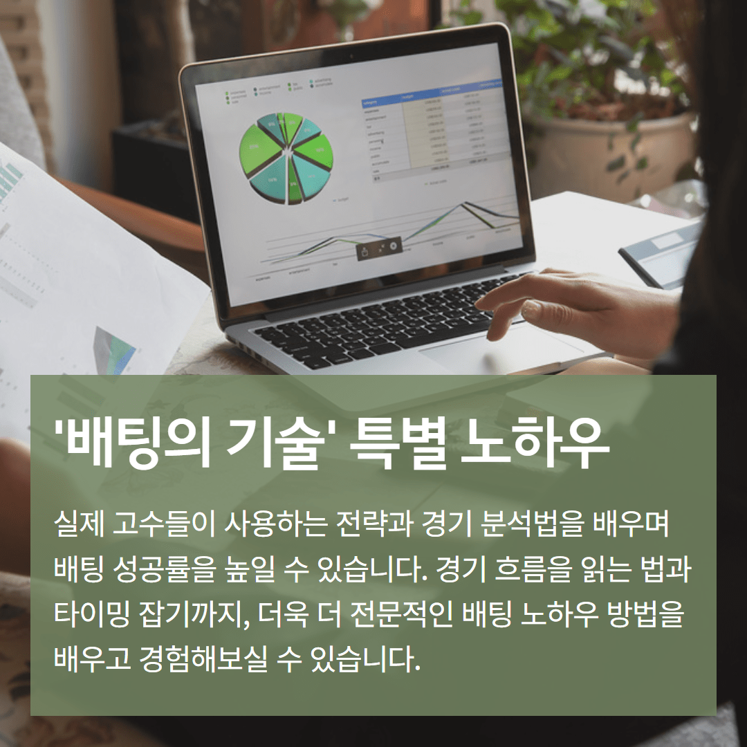 배팅의 기술 특별 노하우