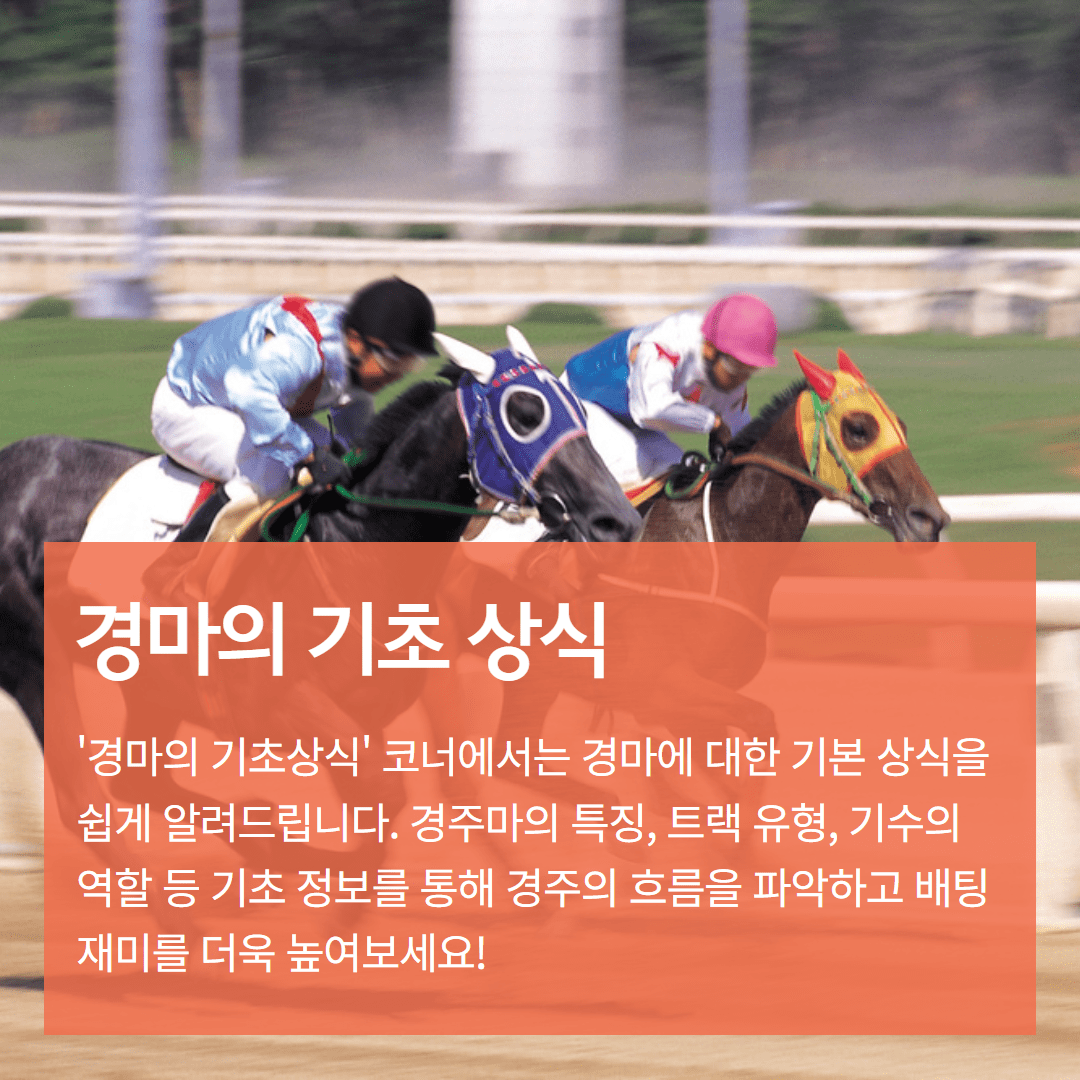 경마의 기초상식